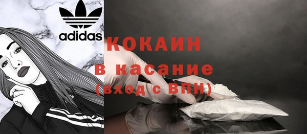 стаф Новодвинск