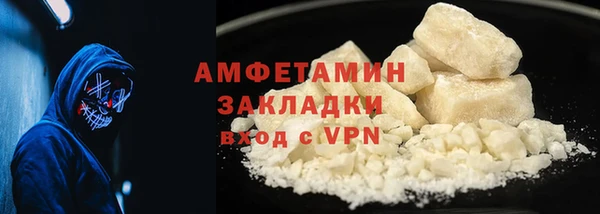 прущие грибы Няндома