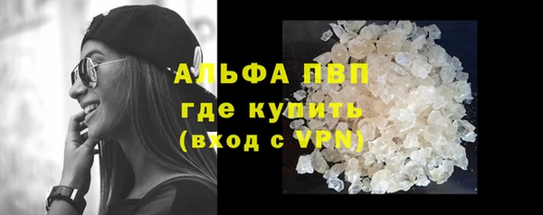 прущие грибы Няндома