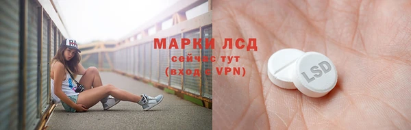 стаф Новодвинск
