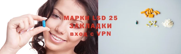 стаф Новодвинск