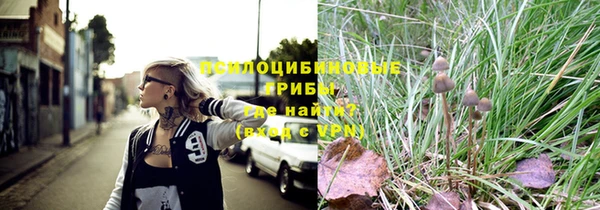 каннабис Новозыбков