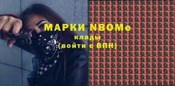 стаф Новодвинск