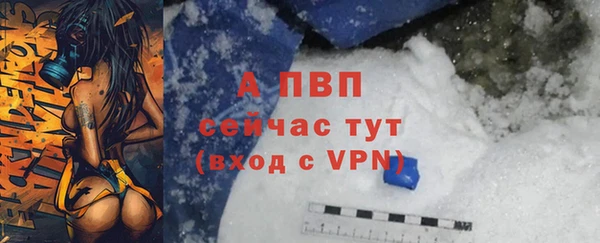 стаф Новодвинск