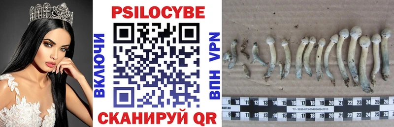 Псилоцибиновые грибы Psilocybe  Оленегорск 